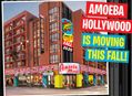 Amoeba Hollywood is Moving