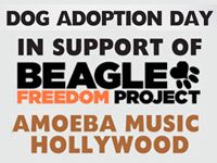 Dog Adoption Day at Amoeba Hollywood October 7