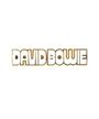 David Bowie-Hunky Dory Logo (Pin) Merch