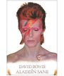 David Bowie-Aladdin Sane (Poster) Merch