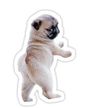 Pug Puppy (Sticker) Merch