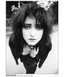 Siouxsie & the Banshees-Holland Park 1981 Merch