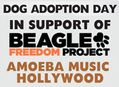 Dog Adoption Day at Amoeba Hollywood October 7