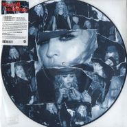 Madonna, Celebration [Picture Disc] (12")