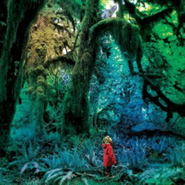 Jacco Gardner, Cabinet Of Curiosities (CD)