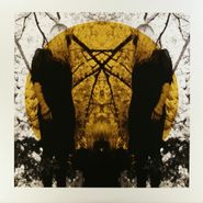 Austra, Feel It Break (LP)