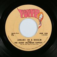 The Giant Jellybean Copout, Look At The Girls / Awake In A Dream