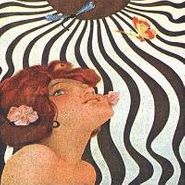 Zen Guerrilla, Shadows on the Sun (CD)