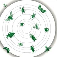O Yuki Conjugate, Insect Talk (12")