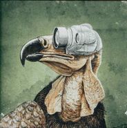 Protest The Hero, Volition (LP)