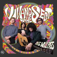Viv And The Sect, This Will Pass [Violet Vinyl] (LP)