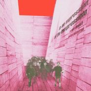 Blonde Redhead, In An Expression Of The Inexpressible (LP)