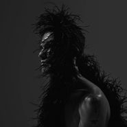 Chris Garneau, Yours (LP)