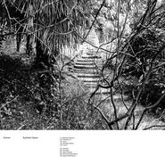 Echium, Synthetic Space (LP)