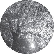 Resoe, Wasted Echo / CNX [Split] (10")