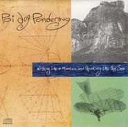 Poi Dog Pondering, Wishing Like A Mountain And Thinking Like The Sea (CD)