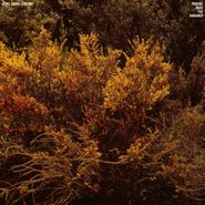 Jefre Cantu-Ledesma, Tracing Back The Radiance (LP)
