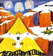 The Move, Message From The Country [180 Gram Vinyl] (LP)