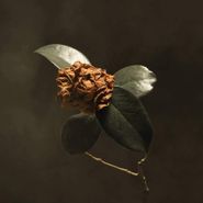St. Paul And The Broken Bones, Young Sick Camellia [Root Beer Colored Vinyl] (LP)