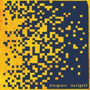 Pinegrove, Marigold [Yellow Vinyl] (LP)