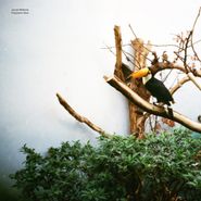 Jacob Bellens, Polyester Skin (LP)