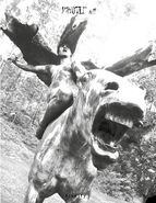Abigor, Imhotep 'Zine #11 + Kingdom Of Darkness (7")