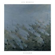 Ilya Beshevli, Wanderer (CD)