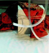 Nikki Sudden, Red Brocade [Expanded Edition] (CD)
