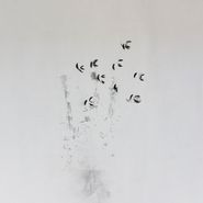 Ken Ikeda, Skin Tones (CD)