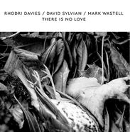 Rhodri Davies, There Is No Love [Record Store Day White Vinyl] (LP)