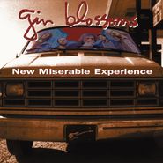Gin Blossoms, New Miserable Experience (LP)