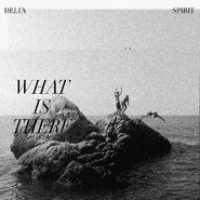 Delta Spirit, What Is There [Clear w/Black Marbling Vinyl] (LP)
