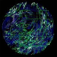 OL, Dismeteo (12")