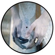 The Saddest Landscape, Exit Wounded EP [Picture Disc] (12")
