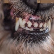 Blanck Mass, World Eater [Black/Red Vinyl] (LP)