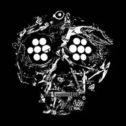 Young Widows, Decayed: Ten Years Of Cities, Wounds, Lightness, & Pain (CD)