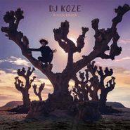 DJ Koze, Knock Knock [Deluxe Box Set] (LP)