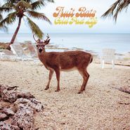 Fruit Bats, Gold Past Life (LP)