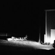 Cloud Nothings, Last Building Burning [Clear Vinyl] (LP)