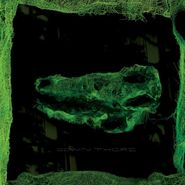Avey Tare, Down There (CD)