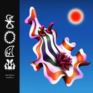 Divino Niño, Foam (LP)