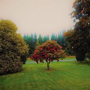 The Bats, Foothills (CD)