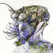 Bibio, Ribbons (LP)