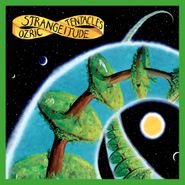 Ozric Tentacles, Strangeitude [2020 Ed Wynne Remaster] (LP)