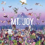 Mt. Joy, Rearrange Us (LP)