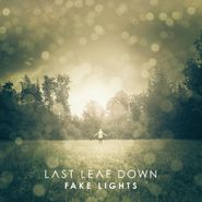 Last Leaf Down, Fake Lights (CD)