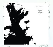 Rich Robinson, Through A Crooked Sun [Bonus Tracks] (LP)