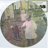 Andrew Bird, Break It Yourself [Picture Disc] (LP)