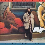 Terry Callier, Fire On Ice [180 Gram Vinyl] (LP)