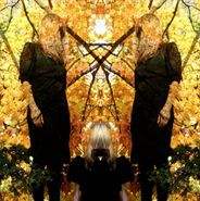Austra, Feel It Break [Limited Edition] (CD)